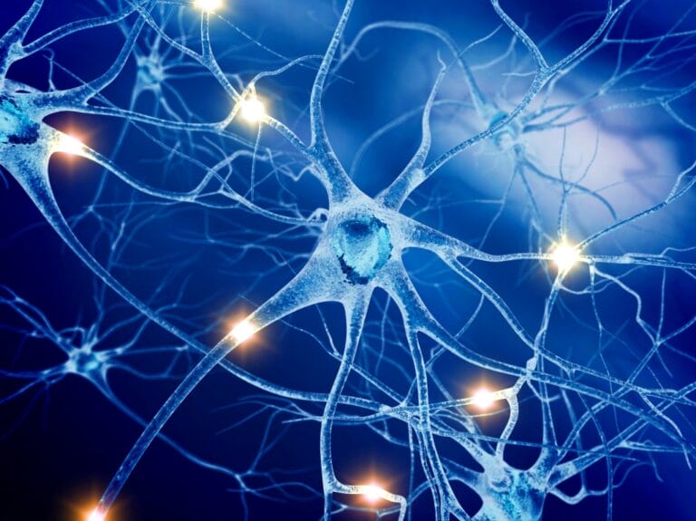 Artist's visualisation of nerve cells.